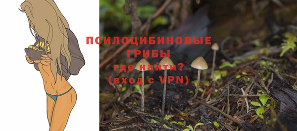 гашик Елизово