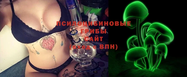 гашик Елизово