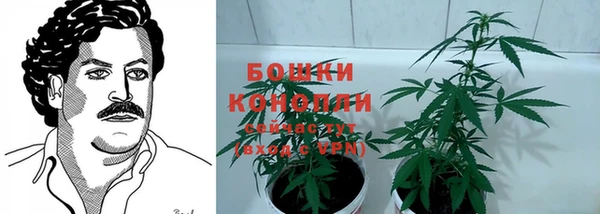 гашик Елизово