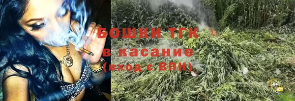 гашик Елизово