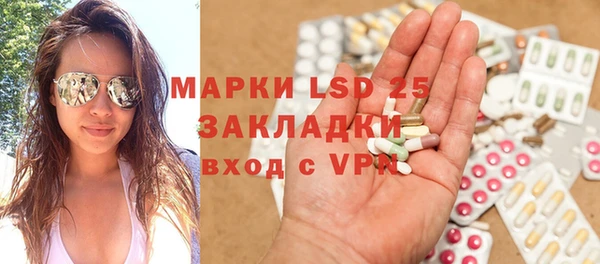 гашик Елизово